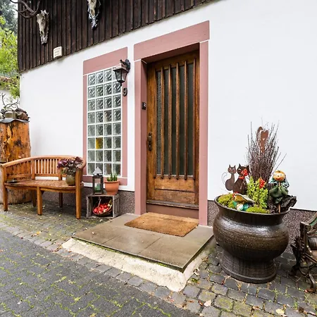 In Bruchhausen Right On The Fishing River Apartment Oberveischede