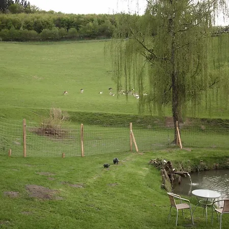 In Bruchhausen Right On The Fishing River Apartment